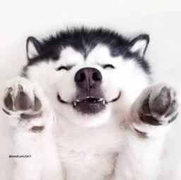 娱乐吃瓜群众素材视频,吃瓜群众视角下的幕后故事